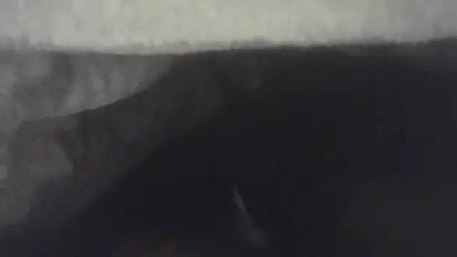 Snapshot of cuminsidebby chatting on 04-30-26, 05:36 cuminsidebby online show from 04-30-26, 05:36