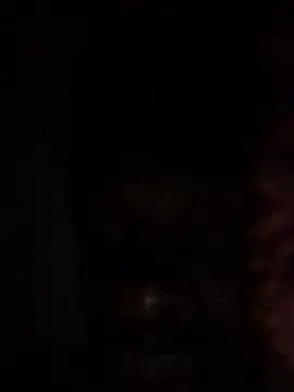Snapshot of cuminsidebby chatting on 06-30-26, 04:19 cuminsidebby online show from 06-30-26, 04:19