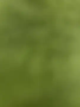 youyou933 online show from 09-12-25, 05:57