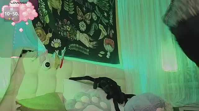 Miko Meow online show from 10-24-25, 08:16