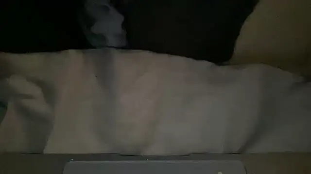 peterpapiNL online show from 03-04-26, 07:31