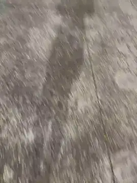 Foxfoxfox4 online show from 11-28-25, 01:03