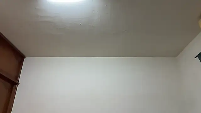 Snapshot of Foxfoxfox4 chatting on 02-17-26, 03:29 Foxfoxfox4 online show from 02-17-26, 03:29