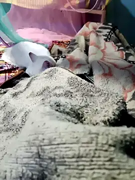 m11a2f3a4z5 online show from 02-14-26, 11:51