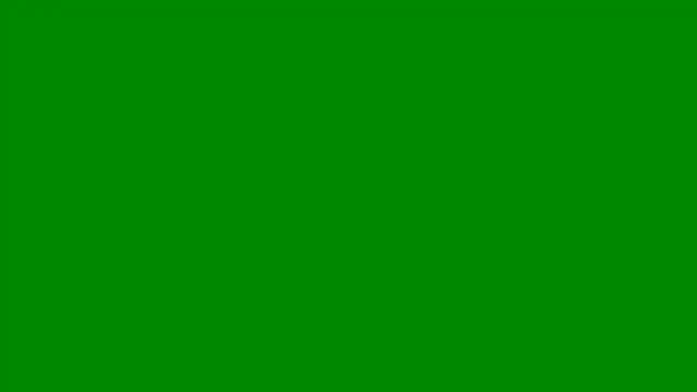 Snapshot of PigDadDog chatting on 02-06-26, 02:05 PigDadDog online show from 02-06-26, 02:05