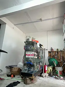 Terra-22cm online show from 02-14-26, 02:36