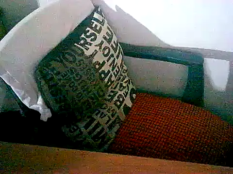 sacptjock83 online show from 12-17-25, 08:59