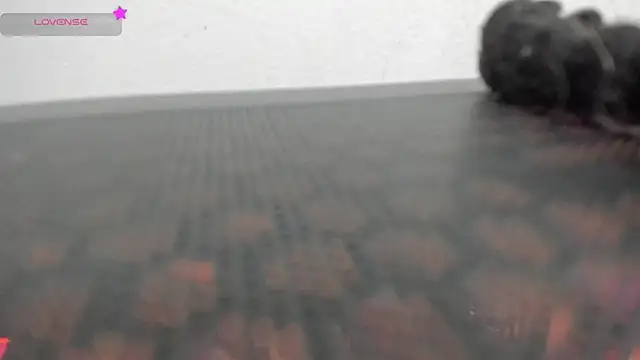 Snapshot of FluffyMelons chatting on 04-01-26, 11:02 FluffyMelons online show from 04-01-26, 11:02