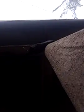 lady helen00 online show from 11-15-25, 06:55