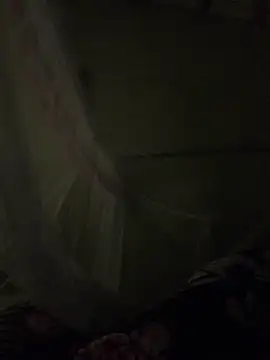 NhuFox online show from 11-19-25, 02:17