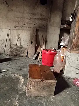 TinTin321 online show from 03-03-26, 05:24