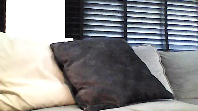 Snapshot of perlados chatting on 05-13-26, 02:25 perlados online show from 05-13-26, 02:25