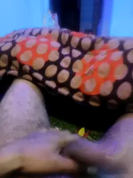 pppppp7811 online show from 02-14-26, 05:43