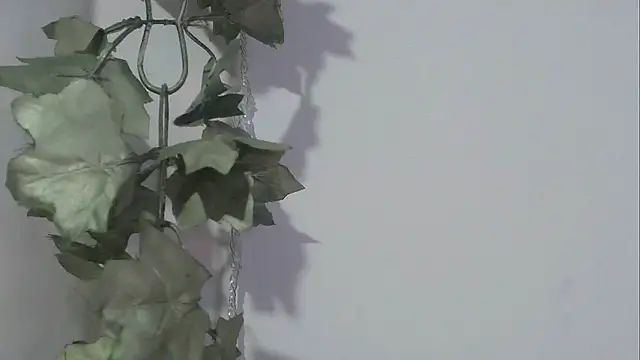 angelainparis28 online show from 11-17-25, 08:25