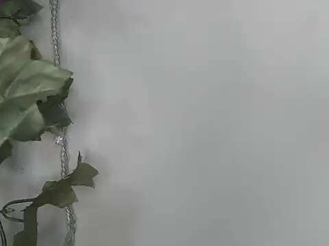 angelainparis28 online show from 11-24-25, 07:41