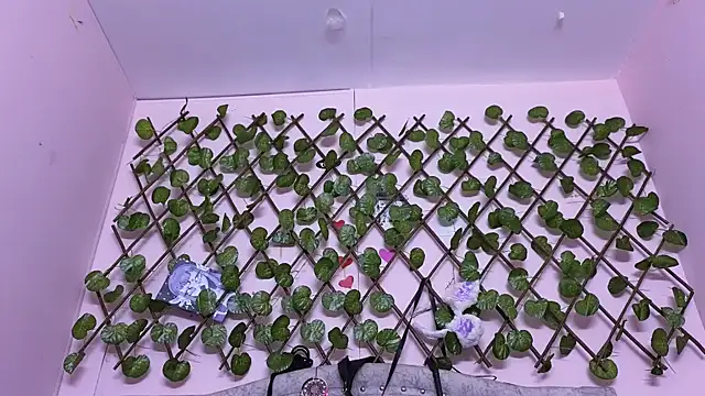 katalinathxandbritney1 online show from 09-24-25, 05:05