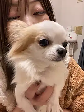 h415a812 online show from 11-20-25, 01:55