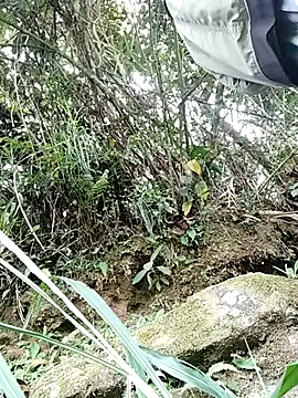 pitersonntt online show from 02-10-26, 08:24