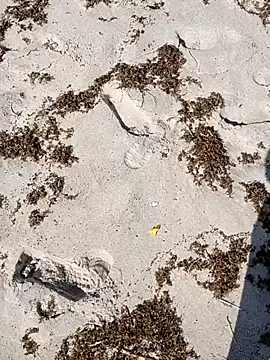 sarahkat86 online show from 10-04-25, 02:37