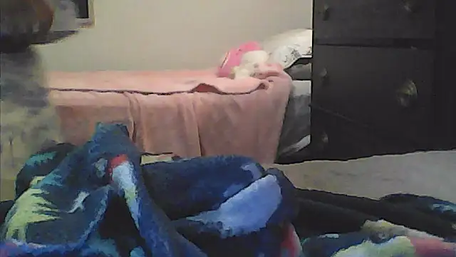 sarahkat86 online show from 01-10-26, 02:35