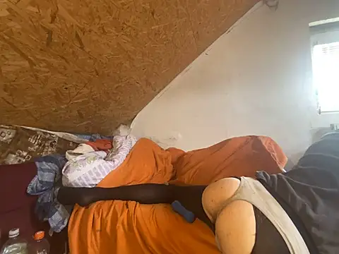 Salon1986 online show from 03-11-26, 12:44