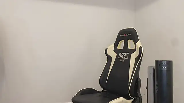 Snapshot of TheDonnyBasilisk chatting on 12-04-25, 11:13 TheDonnyBasilisk online show from 12-04-25, 11:13