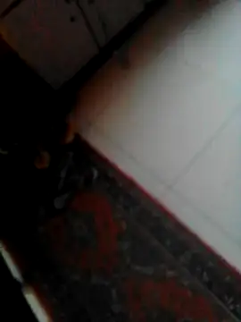 sotpornhub online show from 09-09-25, 10:59