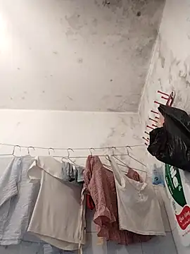 naop04 online show from 11-01-25, 11:29