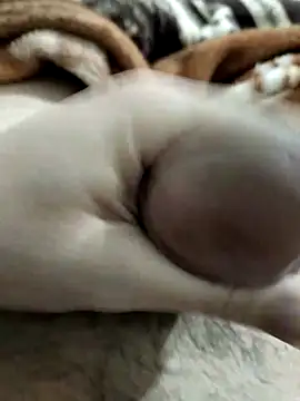 Zepe 12 online show from 03-01-26, 10:12