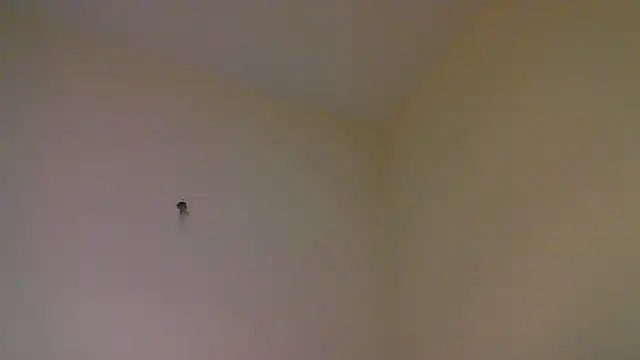 str8matesirishoz online show from 10-15-25, 04:01