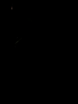 Snapshot of koukou322 chatting on 11-02-25, 10:06 koukou322 online show from 11-02-25, 10:06