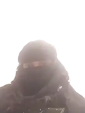 amolicars online show from 11-24-25, 02:28