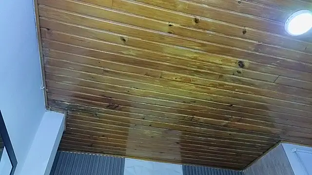 Bonnali lune online show from 04-19-26, 04:45