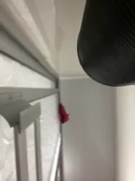 JuanitaMore01 online show from 10-07-25, 08:28