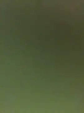 JuanitaMore01 online show from 02-16-26, 09:55