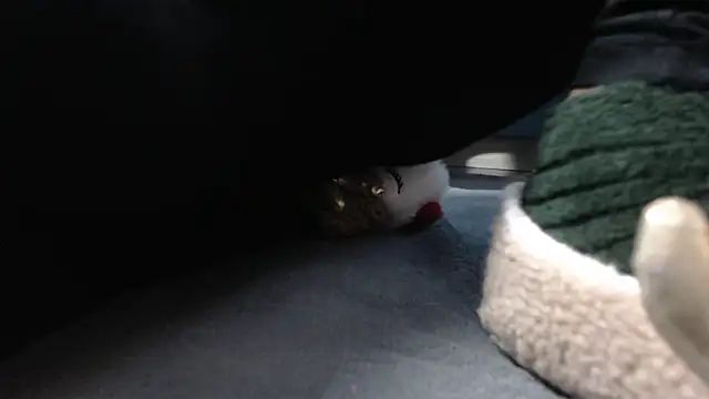 aellabeyonce online show from 12-05-25, 02:36