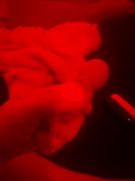 2Tight2Handle online show from 10-20-25, 02:17