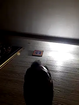 Hot-boy077 online show from 02-04-26, 04:13