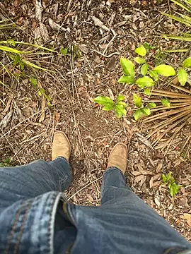 HorneyCowboy154 online show from 04-19-26, 08:11