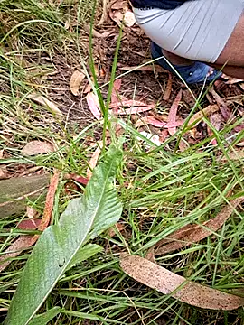 maxvergo online show from 04-15-26, 09:37