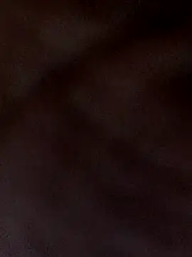 Snapshot of kaviyaponnu0987 chatting on 12-04-25, 08:28 kaviyaponnu0987 online show from 12-04-25, 08:28