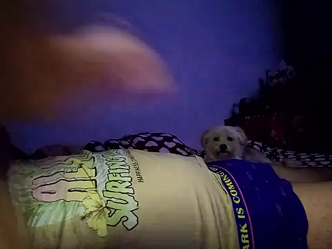 Alexandra23d online show from 10-02-25, 09:22