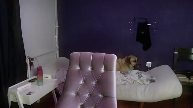 turkishTransEfsun online show from 10-02-25, 03:35