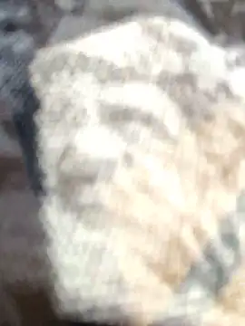 Zoe73  online show from 02-25-26, 08:18