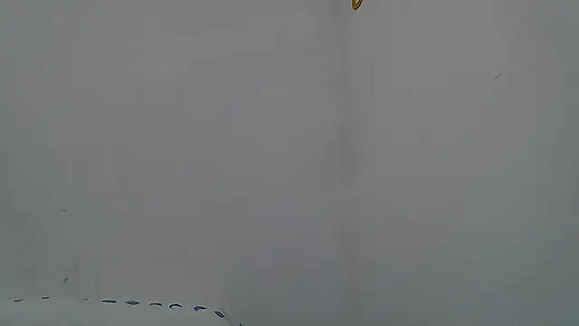 Kevintdx online show from 04-11-26, 02:05