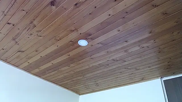 IVONNE COLLINS33 online show from 09-21-25, 02:19