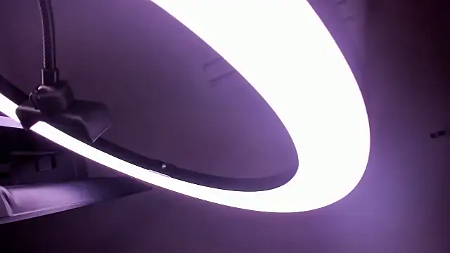 lilithasm online show from 01-19-26, 02:04