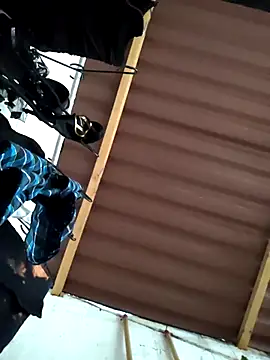 damian bull online show from 11-24-25, 09:14