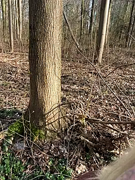 CoraDiamond online show from 03-08-26, 02:10