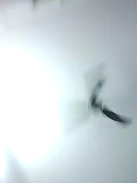 Kehar punjaban online show from 09-28-25, 07:36